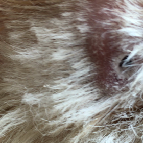 昨日のこと…の画像