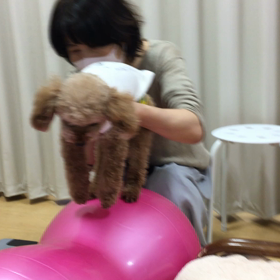 見た目と違って。の画像