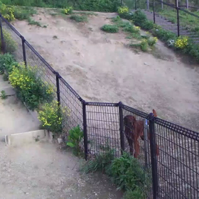 スローモーションでの画像