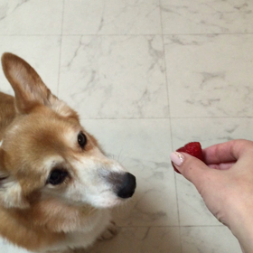 ホルモン治療65日目の画像