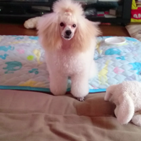 毎朝の日課☆の画像