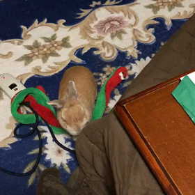 2018年10月22日の画像