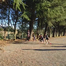 襷練習⑬の画像