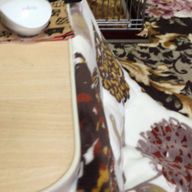 12月14日  …。の画像