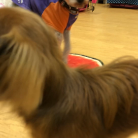 ナイス助手コケた。の画像