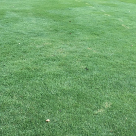 Transjoy 6211の画像