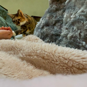 やったぁ〜の画像