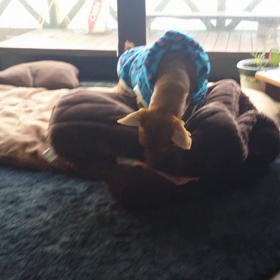 動画の巨匠だった（笑）の画像