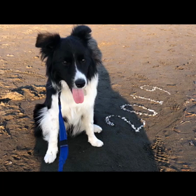 本年もお世話になりました！の画像