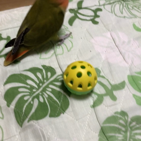 読み取る力の画像