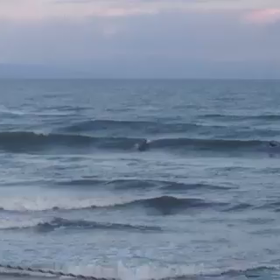 今朝のオイラの画像