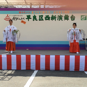 豊栄の舞の画像