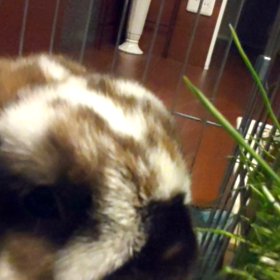 黒南風的空気感の画像