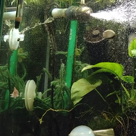 産まんかな～の画像