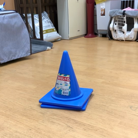 覚えてたねぇ。の画像