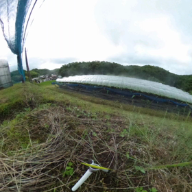 今朝の快晴の画像