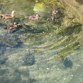 共存共栄の画像