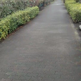 チビっ子も走る！の画像