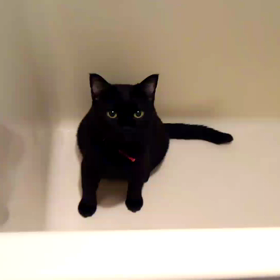 お疲れ様でしたの画像