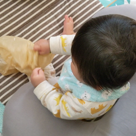 コンビニ袋がお気に入り  の画像