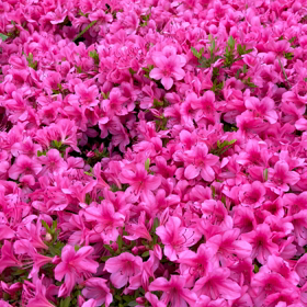 久々の晴れ‼️の画像