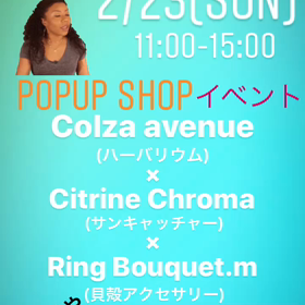 2/23(日)の予告の画像