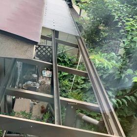 野良猫親子の画像