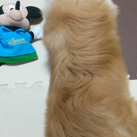 この音は、、の画像