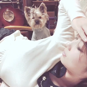 【動画】違う意味で、私を踏み台にしていく。笑の画像