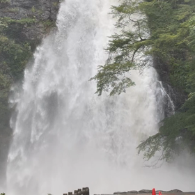 今日の滝の画像