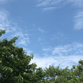 暑かったーの画像