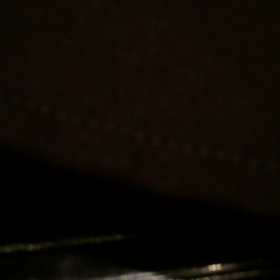 ごりーぬリサイタルの画像