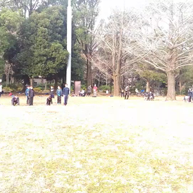 ダッシュ(オレンジグループ)②の画像