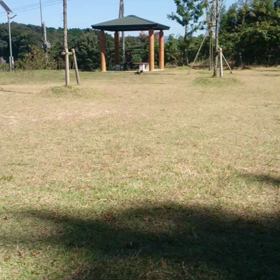 楽しかったみたいで♪【動画】の画像