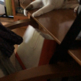 本当にガッカリした…デールとマリーも…の画像