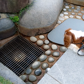 エアコンの次は洗濯機の画像