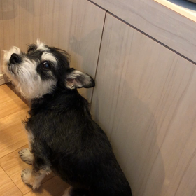 ご〜は〜ん〜！の画像