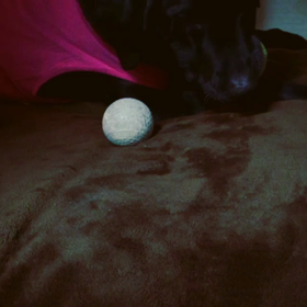 一人遊びの画像