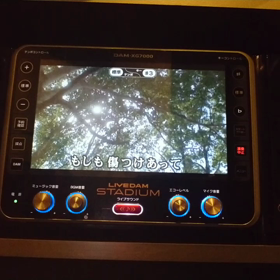 歌ってみた…⑱の画像