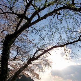 安心感という温かさの画像