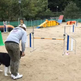 お気楽 単身コンペの画像