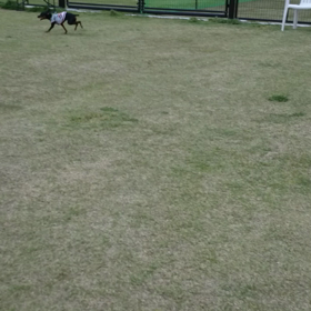 走る!走る‼走る!!!の画像