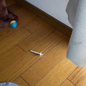 これがツンデレ？の画像