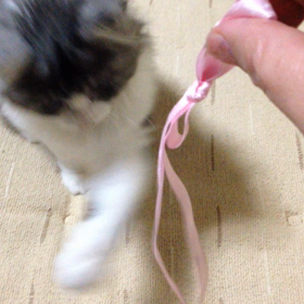 つなぐ、左利き？の画像