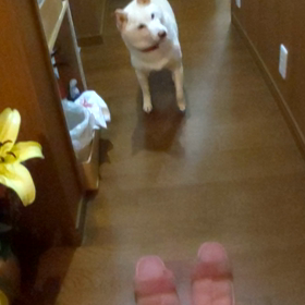 二男のご帰還の画像