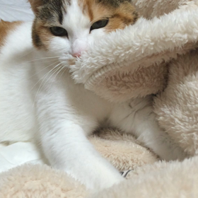 いかなる時もの画像