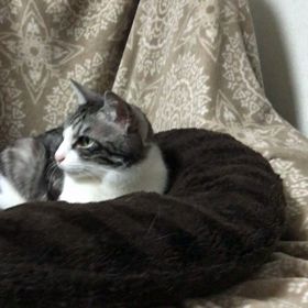 あれから1年✨の画像