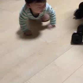 よちよちあんよの画像