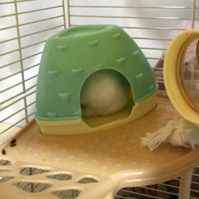 気の強い後輩の画像