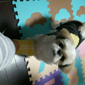 こちょこちょの画像